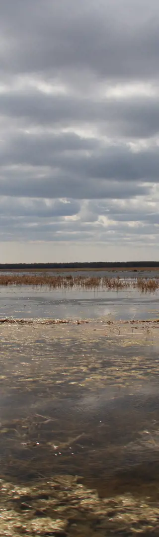 Wunderschöne Seenlandschaft? Der Schein trügt